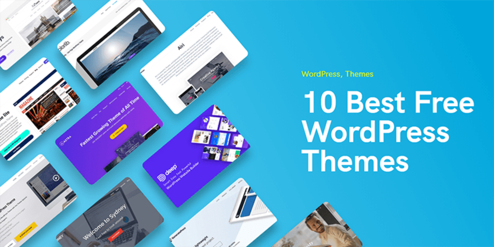 best wordpress theme