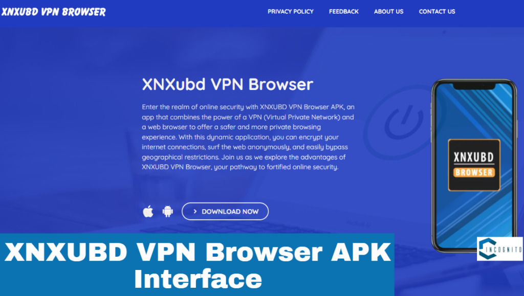 XNXUBD VPN Browser APK Interface 