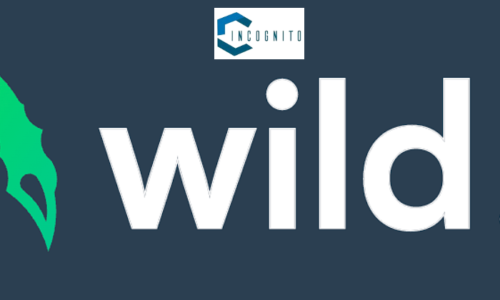 Wild.io Casino: Online Bitcoin Casino Review