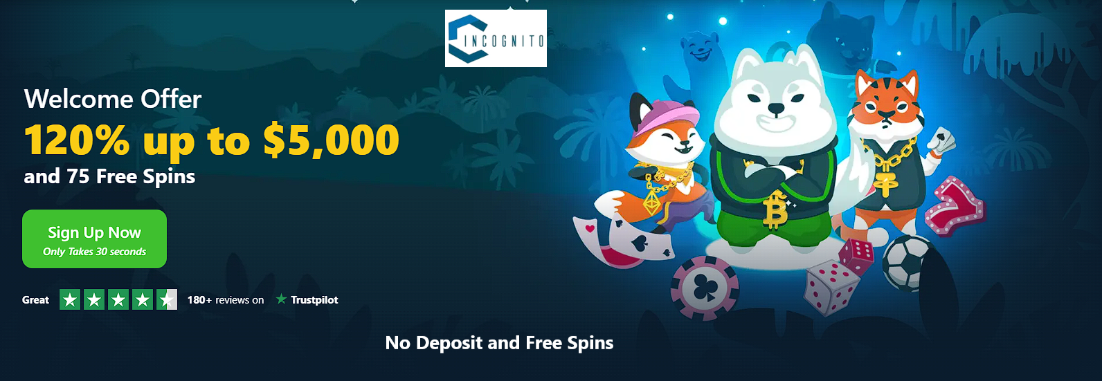 No Deposit Bonus, Wild.io Casino Free Spins