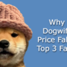 Why Is Dogwifhat Price Falling? Top 3 Factors