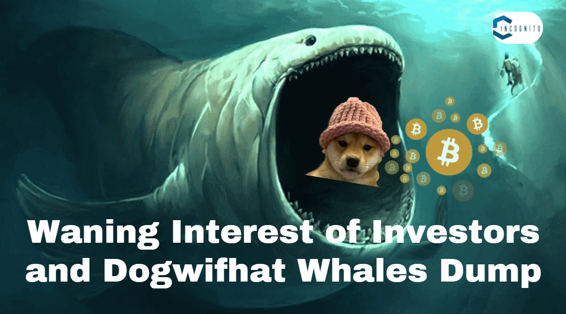 Waning Interest of Investors and Dogwifhat Whales Dump