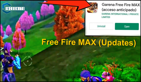 What sets Free Fire MAX apart?