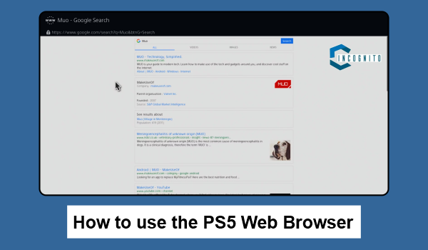 How to use the PS5 web browser?