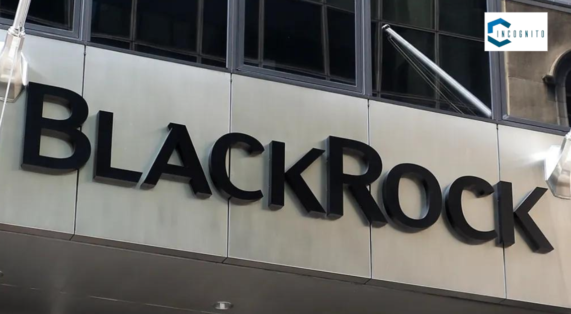 Robert S. Kapito: Founding BlackRock
