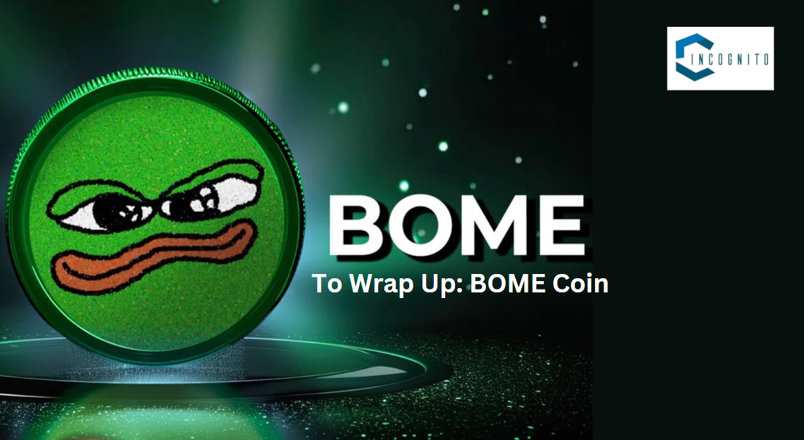 Conclusion for Book of meme coin