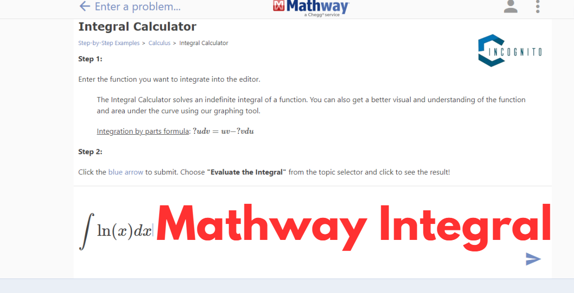 Mathway Integrals 