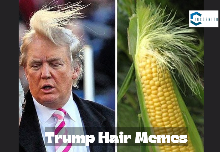 Trump Hair Memes