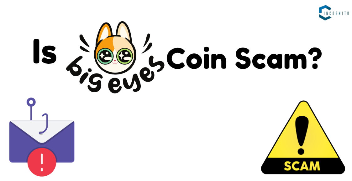 Is Big Eyes Coin Scam?