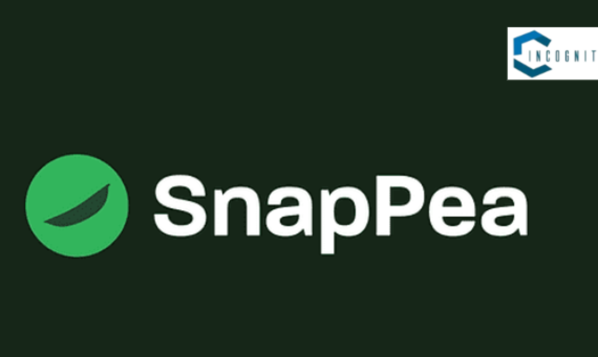 How Snap Pea Design Validates Business Ideas for Custom Hardware