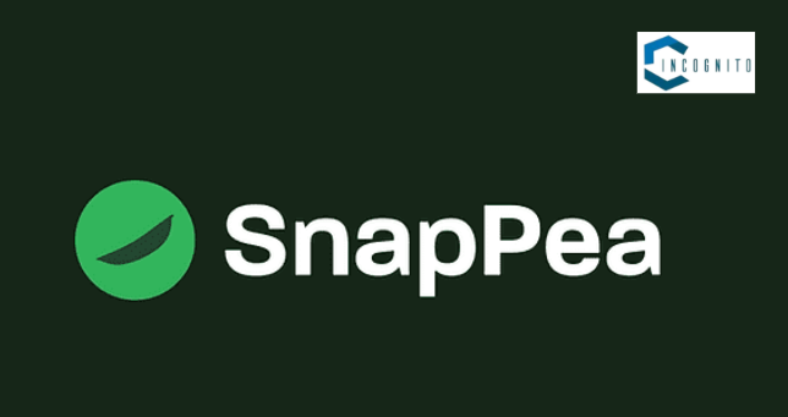 How Snap Pea Design Validates Business Ideas for Custom Hardware