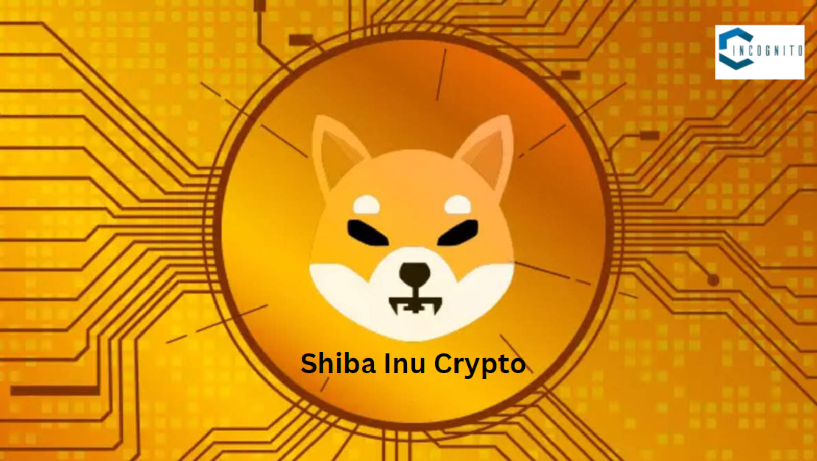 Shiba Inu Crypto
