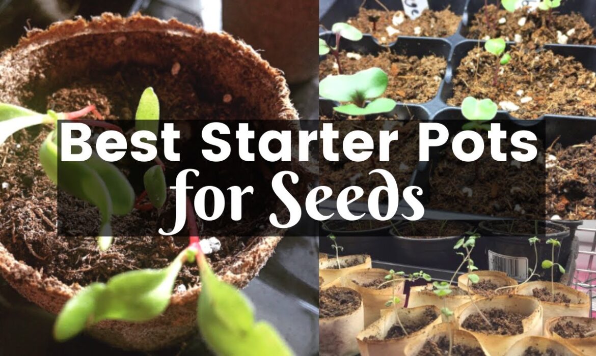 The Pros and Cons of Various Seed Starting Containers