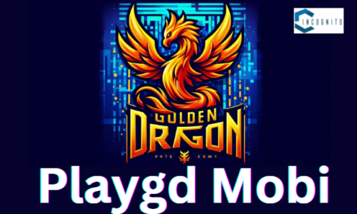 Playgd Mobi in 2024: What is this Gaming Platform and User Insights