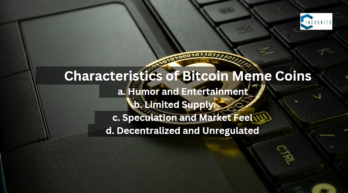 Characteristics of Bitcoin Meme Coins