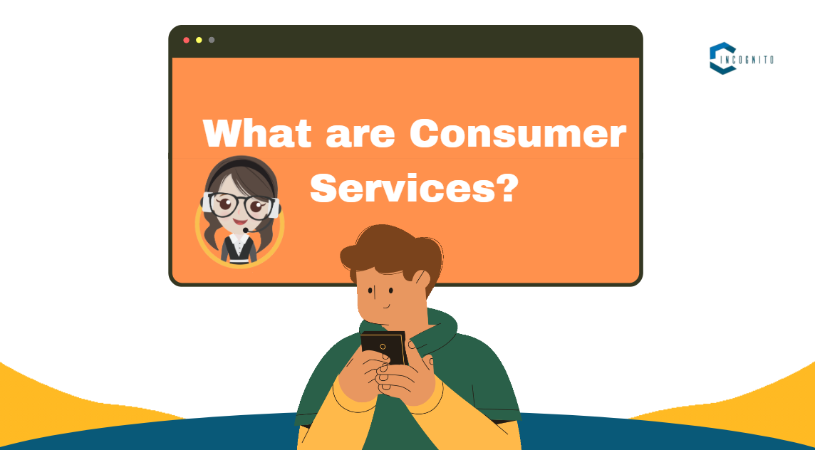 What are Consumer Services?