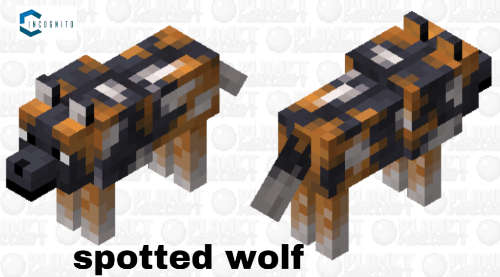 Types of minecraft wolf variants is spotted wolf