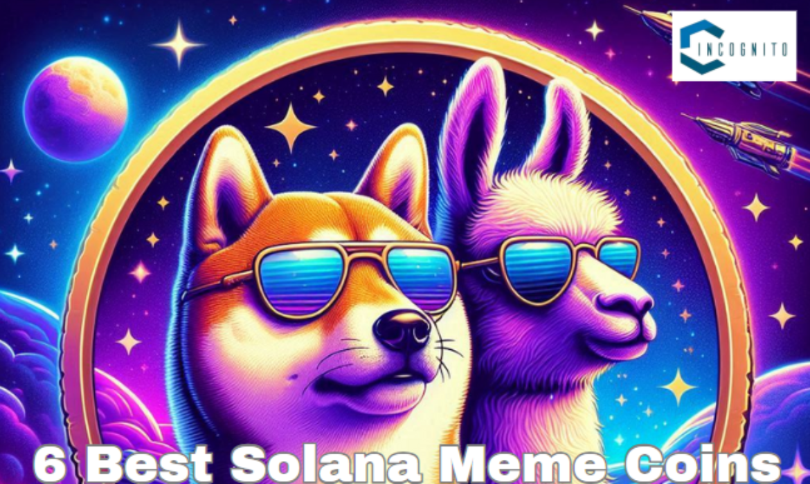 6 Best Solana Meme Coins to Buy