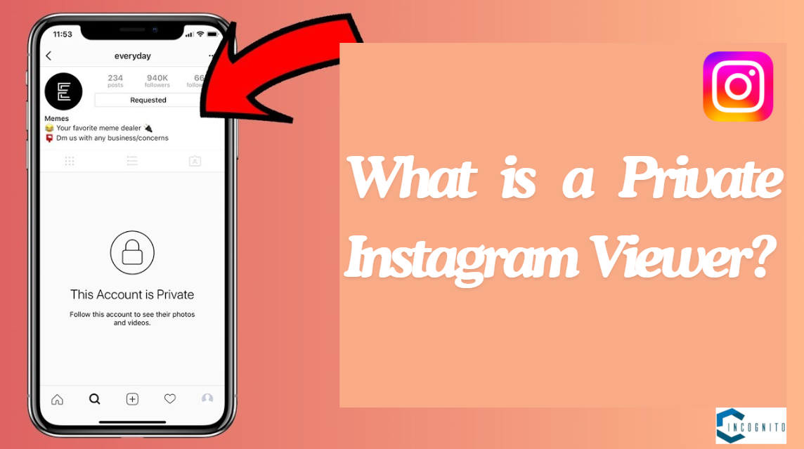 What is a Private Instagram Viewer?