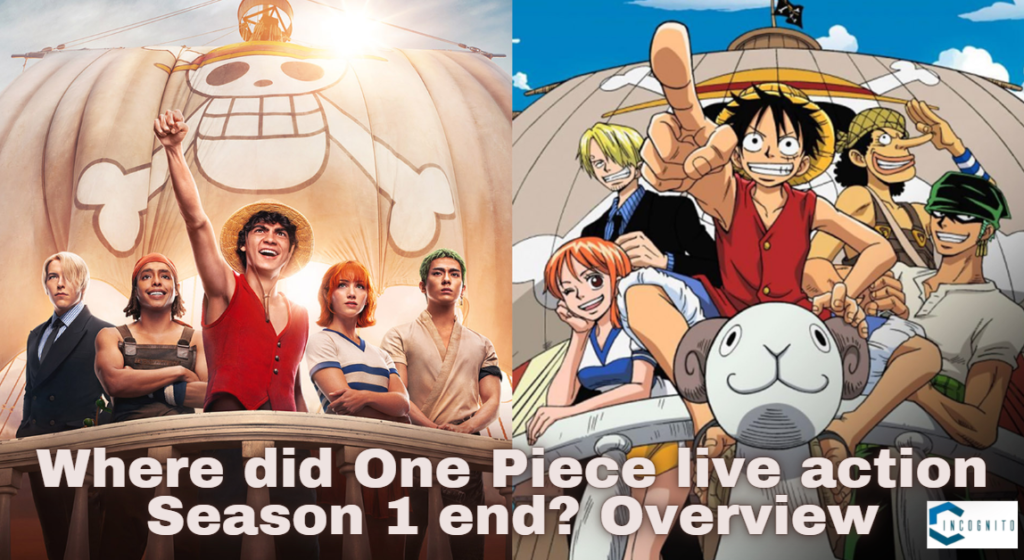 Where did One Piece live action Season 1 end? Overview