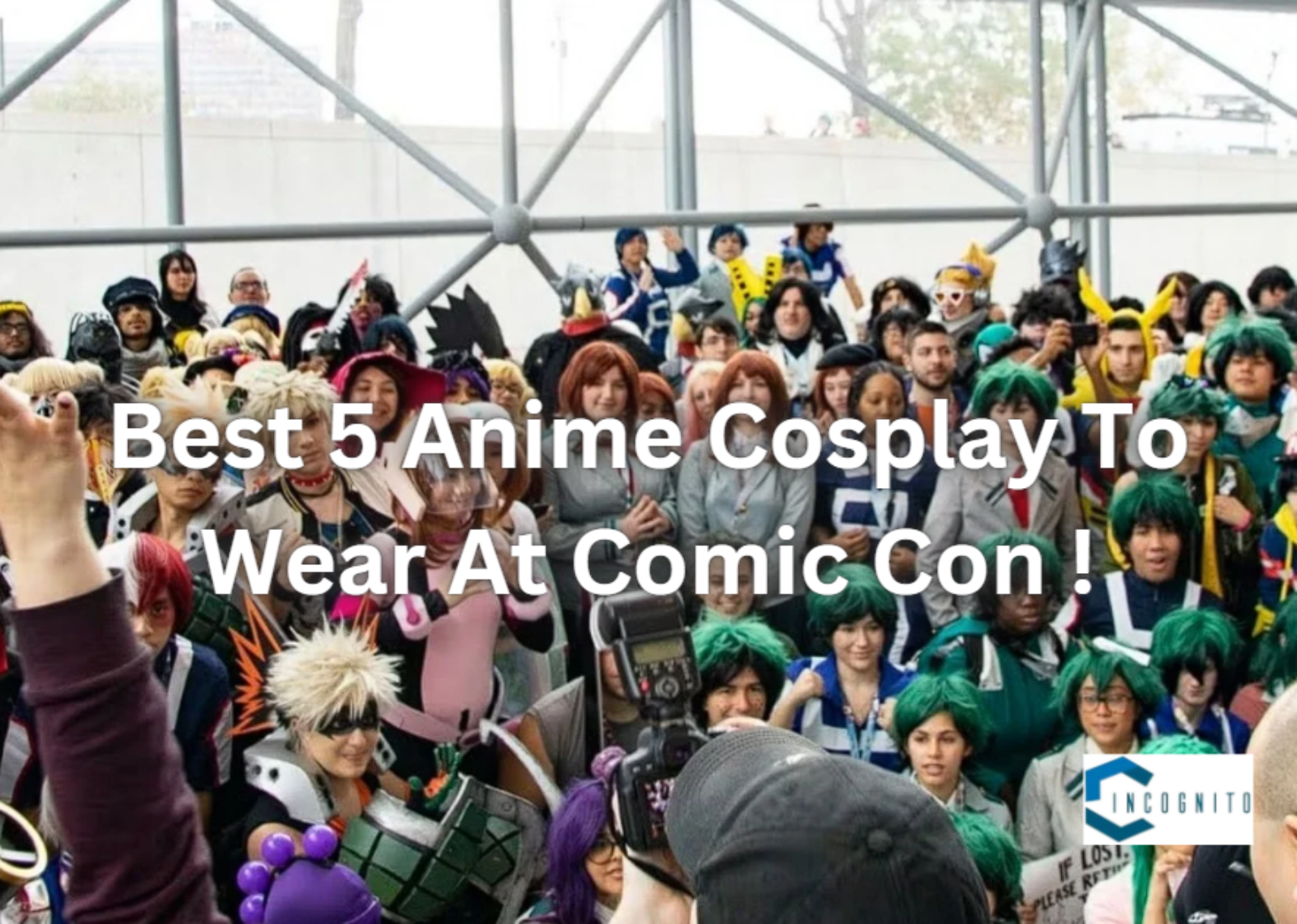 Best 5 Anime Cosplay To Wear At Comic Con