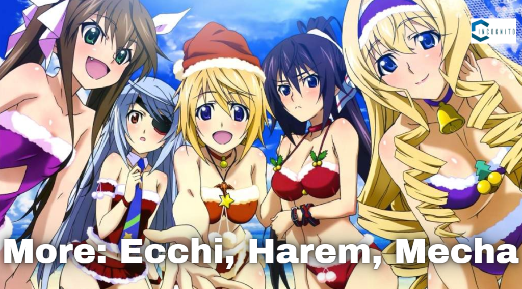 More: Ecchi, Harem, Mecha Anime's 