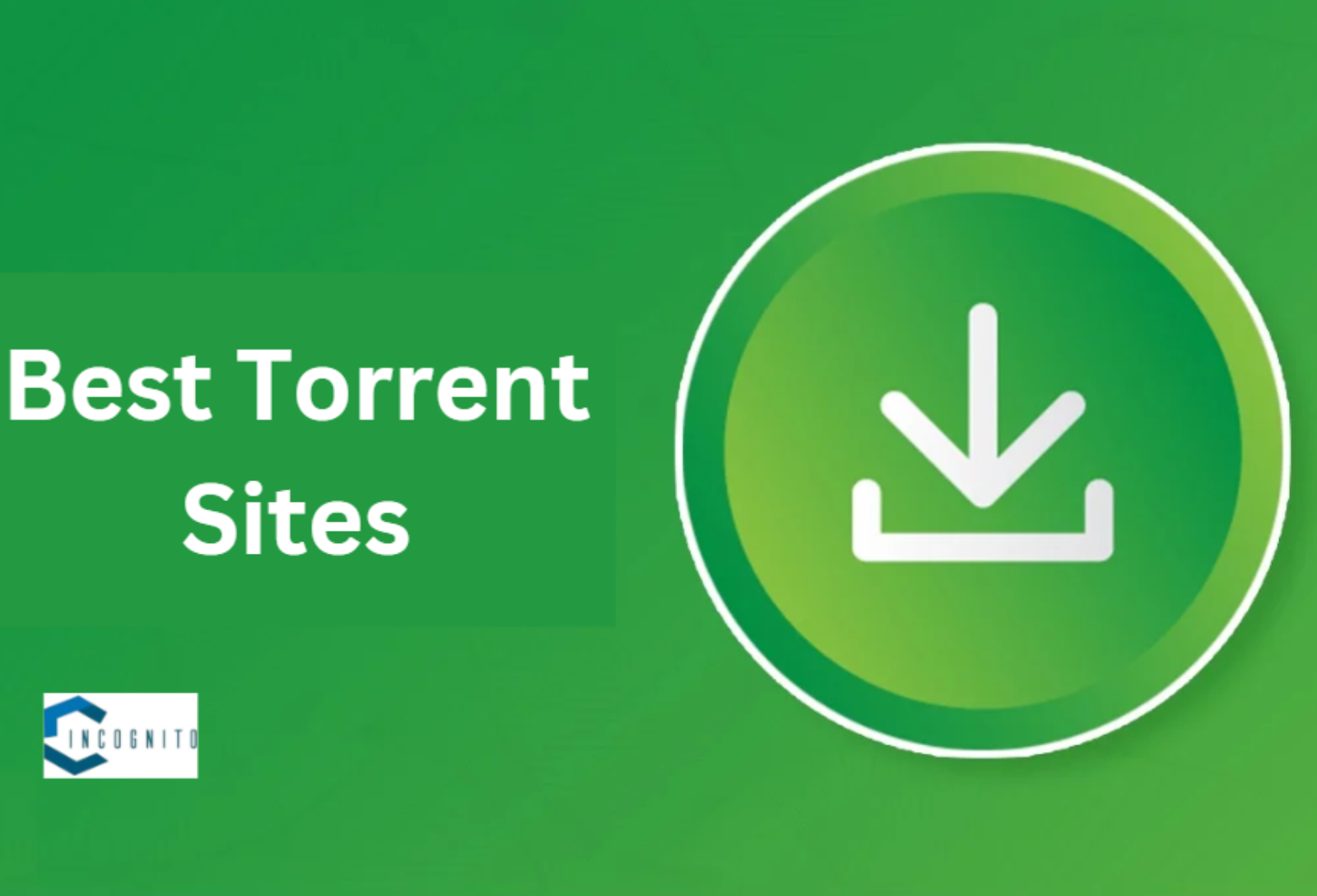 Which Are The Best Torrent Sites To Watch Free Movies In 2024?