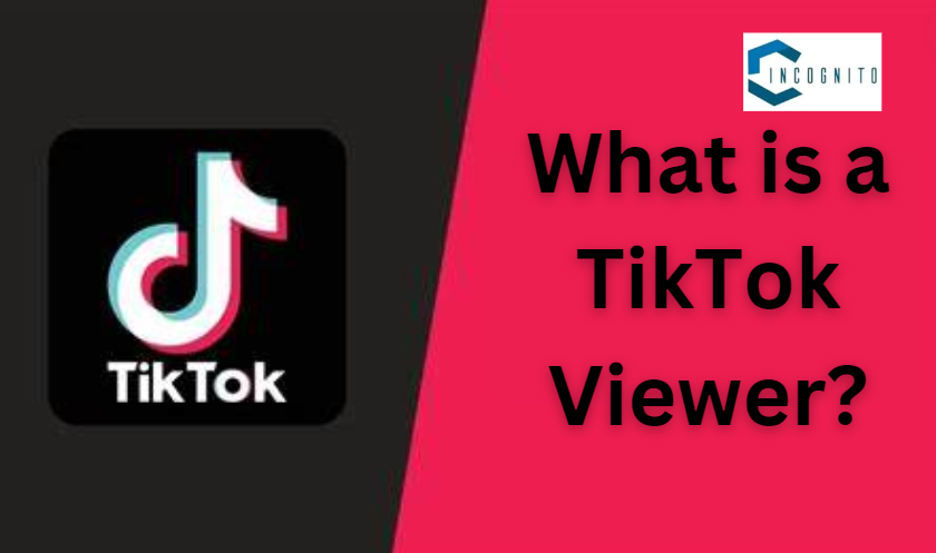 What is a TikTok Viewer?