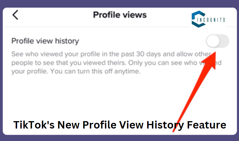 TikTok's new profile view history feature