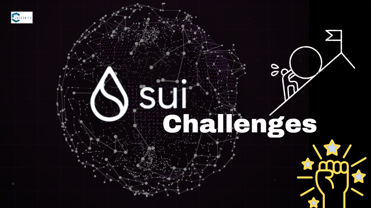 Sui Network: Challenges