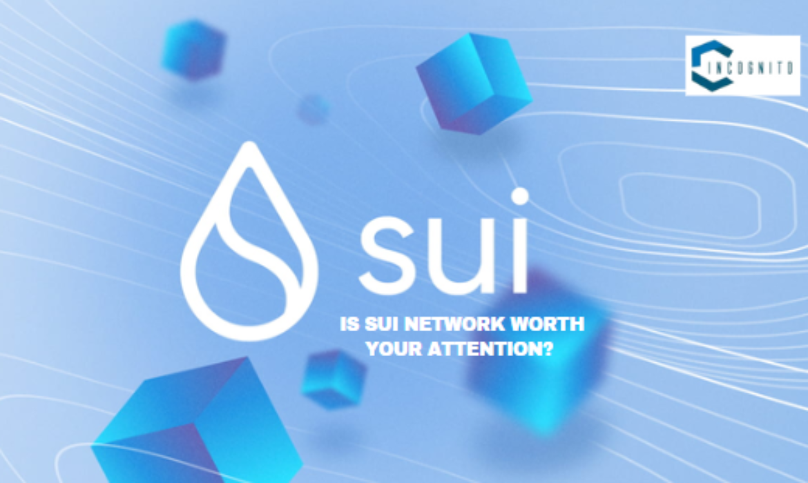 Is Sui Network Worth Your Attention? A Comprehensive Review