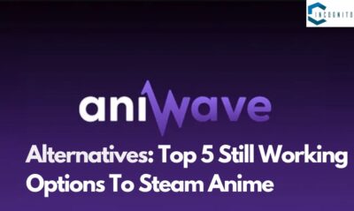 AniWave Alternatives: Top 5 Still Working Options To Steam Anime