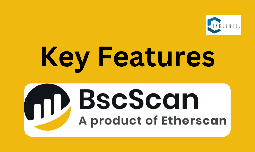 Key Features of BscScan