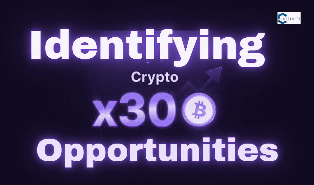 Identifying Crypto30x Opportunities