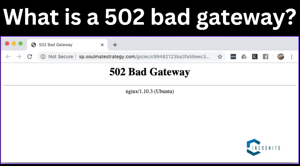 502 Bad Gateway