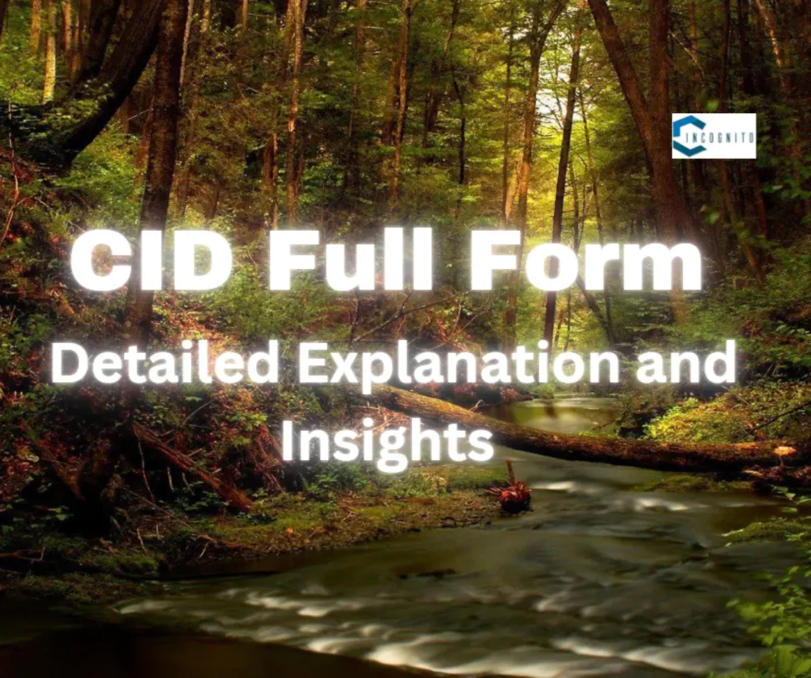 CID Full Form