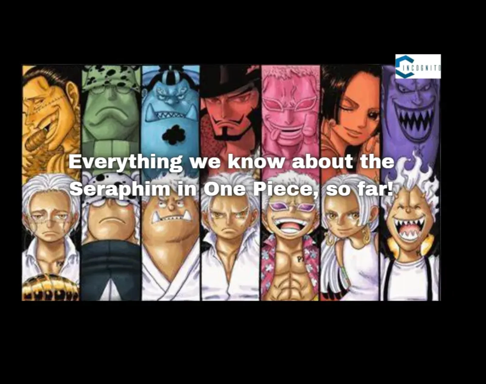 Everything we know about the Seraphim in One Piece, so far!