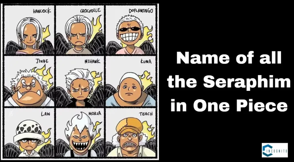 Name of all the Seraphim in One Piece