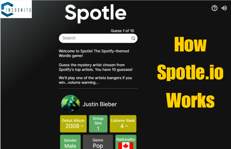 How Spotle.io Works?