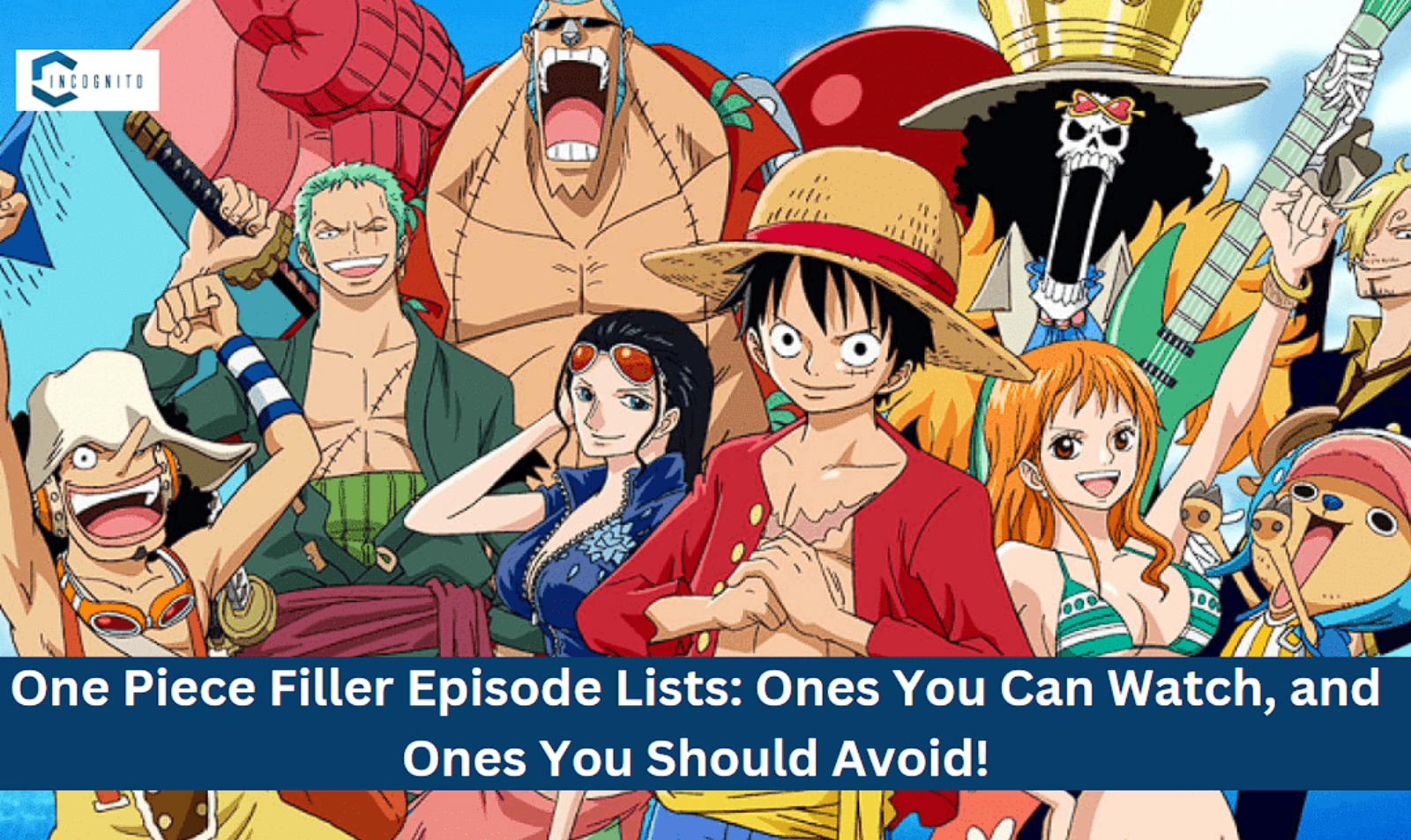 One Piece Filler Episodes List: Ones You Can Watch, and Ones You Should Avoid!