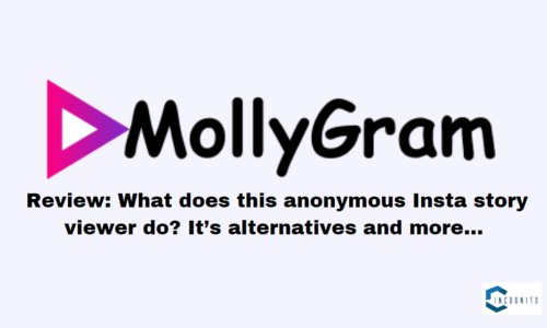 MollyGram Review: What does this anonymous Insta story viewer do? It’s alternatives and more…