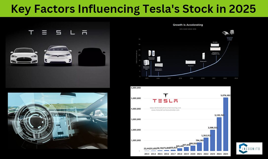 Key Factors Influencing Tesla's Stock in 2025