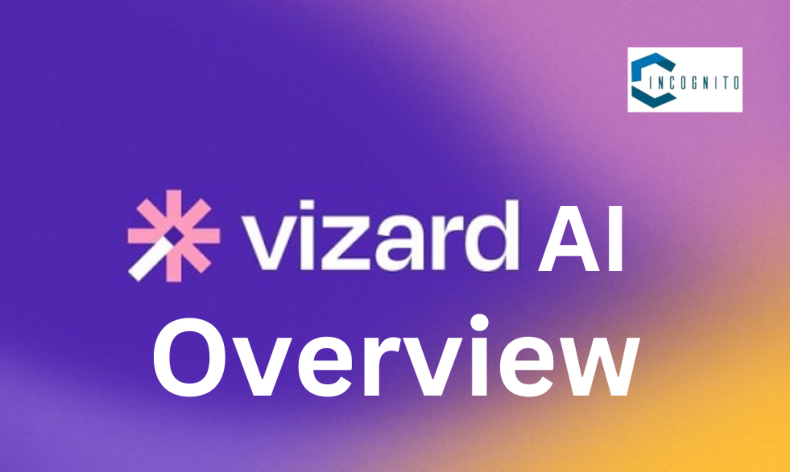 Vizard AI Overview