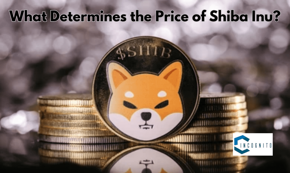 What Determines the Price of the Shiba Inu?