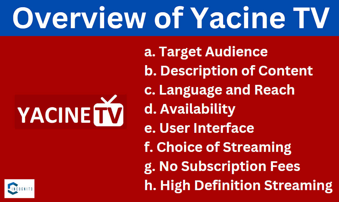 Overview of Yacine TV