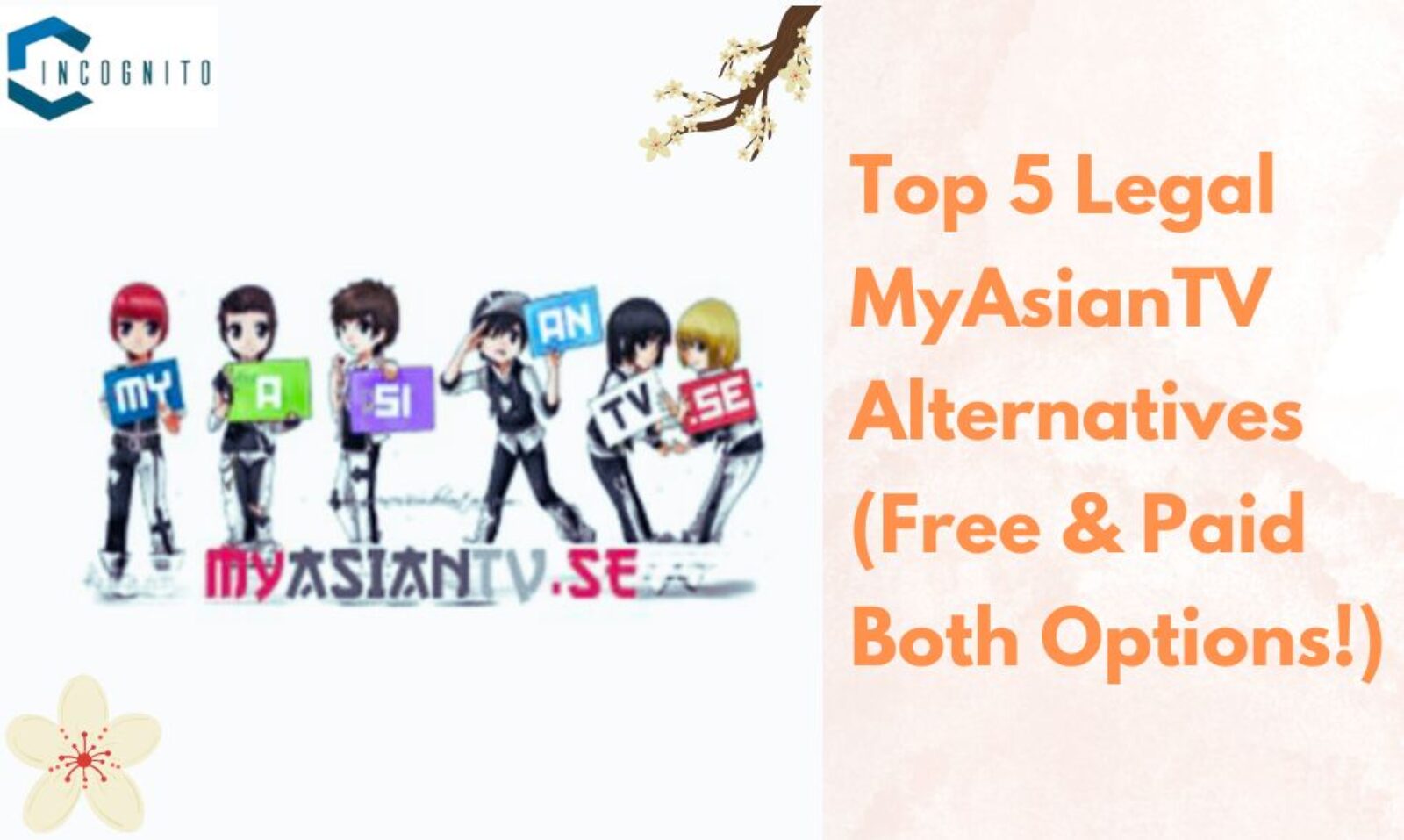 Wanna Watch Asian Dramas? Try Out These Top 5 Legal MyAsianTV Alternatives (Free & Paid Both Options!)