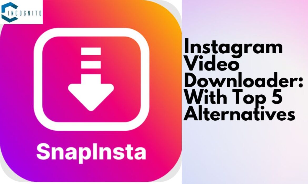 Looking for an Instagram Video Downloader? Try Snapinsta! (With Top 5 Alternatives)