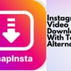 Looking for an Instagram Video Downloader? Try Snapinsta! (With Top 5 Alternatives)