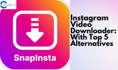 Looking for an Instagram Video Downloader? Try Snapinsta! (With Top 5 Alternatives)