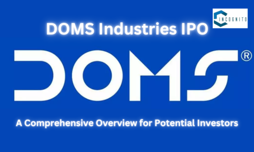 DOMS Industries IPO: A Comprehensive Overview for Potential Investors in 2024-25